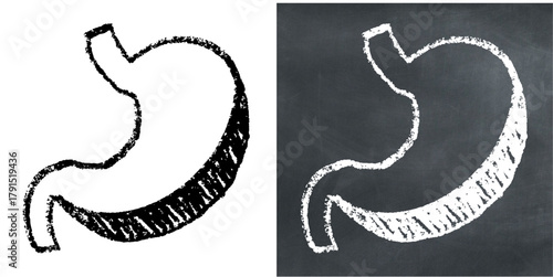 Chalk Handdrawn Stomach Vector Ideal for medical, biological, educational content, and anatomy projects requiring a hand-drawn chalkboard aesthetic.