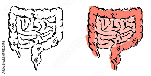 Grunge Sketch Handdrawn Intestines Vector Ideal for medical, educational, biological, or expressive anatomical projects requiring a raw, distressed sketch aesthetic.