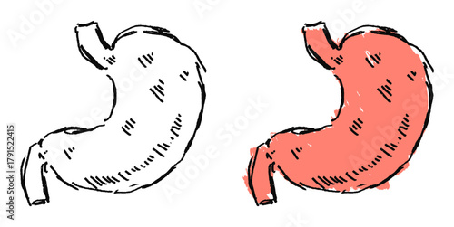 Grunge Sketch Handdrawn Stomach Vector Ideal for medical, educational, biological, or expressive anatomical projects requiring a raw, distressed sketch aesthetic.