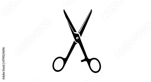 Scissors silhouette cutting tool