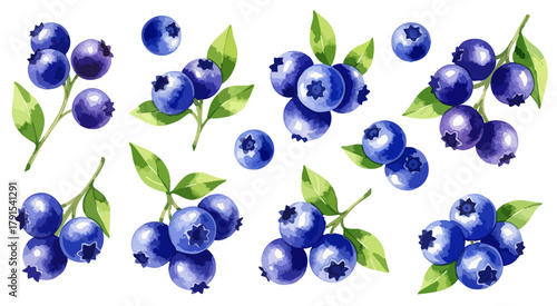 水彩のブルーベリーイラストセット,果物,ベリー,枝付き,健康,トッピング,手描き,ベクター