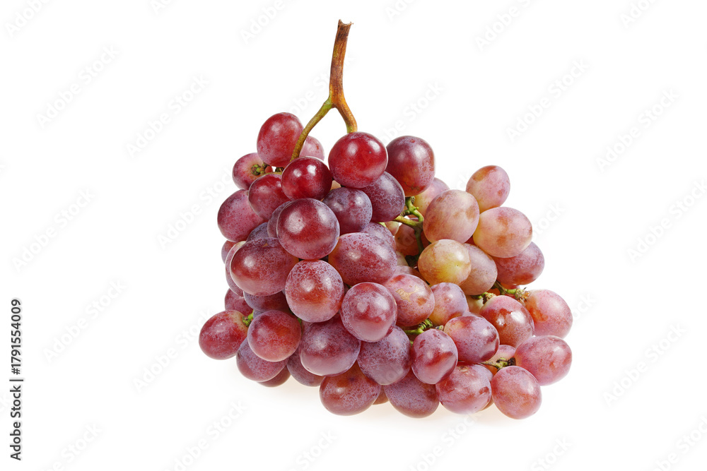 Fototapeta premium Grapes are very fresh on a white background.