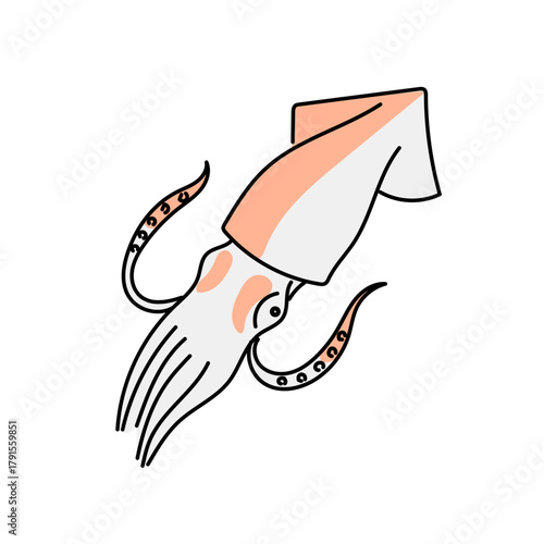 海中を泳ぐイカを描いたシンプルなベクターイラスト｜触腕の動きや海洋生物の特徴を表現した使いやすい視覚素材