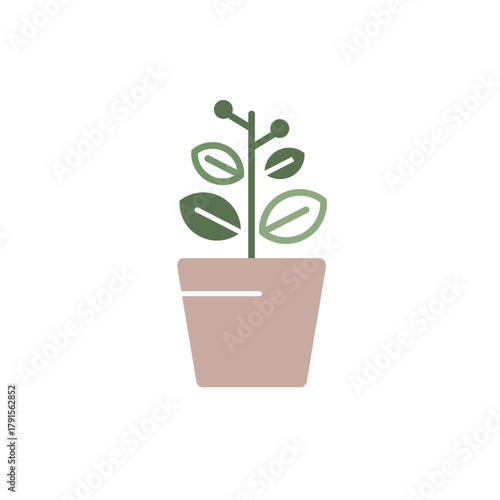 シンプルな観葉植物