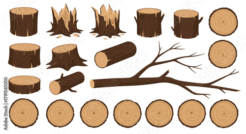 An illustrative collection of natural wood elements, showcasing various tree stumps, cut logs, wood slices with rings, and branches.