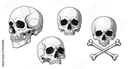 Various human skull illustrations, including side and front views, with one featuring crossed bones as a symbol of danger.