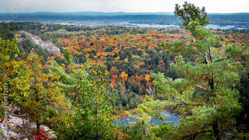 A view of the North Channel from the Arabella Loop Trail in Whitefish Falls Ontario