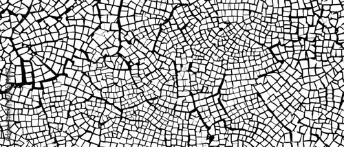 Design vetorial intrincado apresentando uma rede orgânica de linhas escuras sobre um fundo claro, perfeito para adicionar profundidade visual a qualquer projeto.