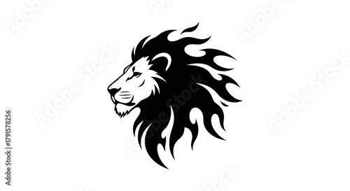A striking black and white illustration of a lion's head with a fiery mane.