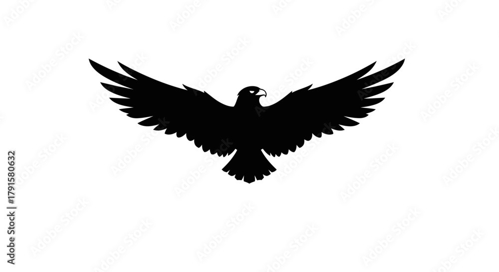Obraz premium A silhouette of a black eagle with outstretched wings against a white background.