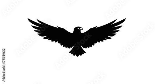 A silhouette of a black eagle with outstretched wings against a white background.