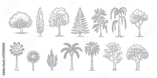 minimal cad tree line illustration side view tropical oak trees for landscape and design projects