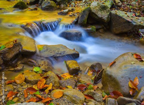 small emerald river flow through mountain canyon covered by red dry leaves, autumn mountain river scene