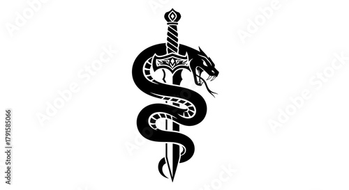 A striking black and white illustration of a coiled snake wrapped around a sword, set against a plain background.