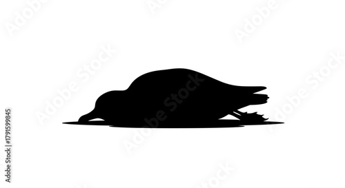 Dead bird silhouette on a transparent background 