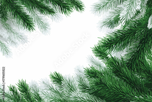 Vektor-Illustration von grünen Tannenzweigen mit weißem Hintergrund, ideal für Weihnachtskarten und Winterdekorationen.