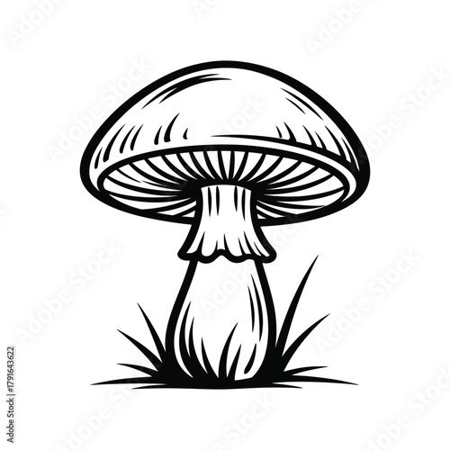 Wild Mushroom in Grass Vector Outline - Nature Fungi Illustration