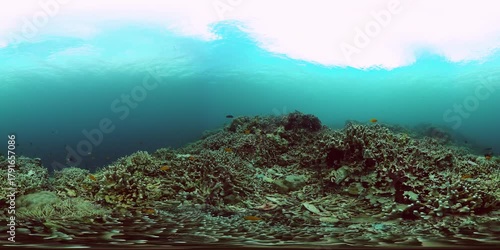 Underwater world life landscape with coral reef and colorful fishes. Virtual Reality.