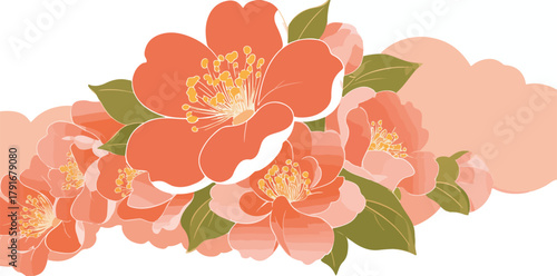 鮮やかなコーラルピンクのツバキの花々が重なり合い、柔らかな桃色の雲のような模様と組み合わされたベクターイラスト。