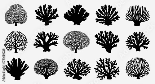 Collection of Diverse Coral and Sea Plant Silhouettes Vector Art