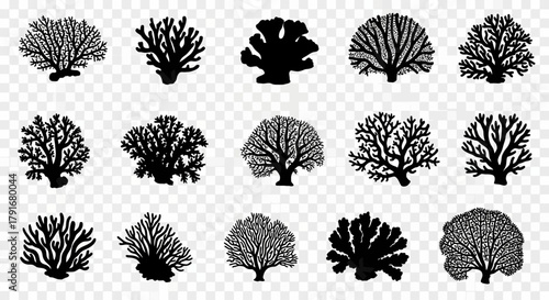 Collection of Diverse Coral and Sea Plant Silhouettes Vector Art