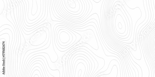 Modern land relief geographic abstract topography map design White background. geometric topographic world grid wave Topographic map geographic line texture.	