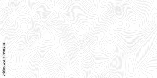 Modern land relief geographic abstract topography map design White background. geometric topographic world grid wave Topographic map geographic line texture.	