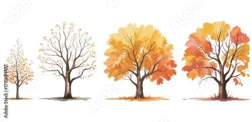 autumn tree illustration set with orange and yellow leaves, hand-drawn forest elements, bare branches, and seasonal vector artwork for nature, landscape, and design collections.