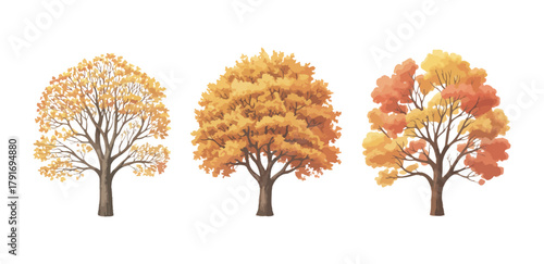 collection of  autumn trees with yellow and orange foliage, bare branches, and seasonal forest elements, perfect for fall illustrations, nature themes, and vector design projects