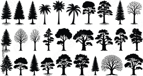 Tree silhouette set, diverse botanical shapes, forest species illustration, landscape design elements, cad drawing flat vector illustration