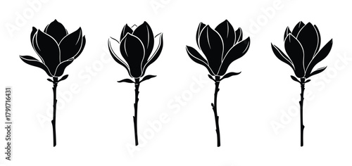 Black silhouettes of magnolia flowers on a white background, perfect for spring and nature designs