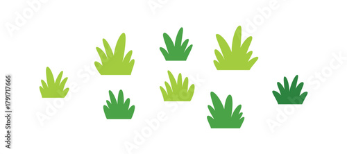 Collection of different green grass clumps on a plain background for natural designs.