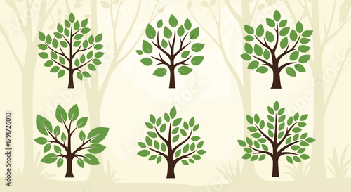Illustrations of six stylized trees with green leaves and brown trunks set against a light background of trees and grass.