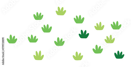 Various shades of green grass tufts scattered across a white background. Natural field element