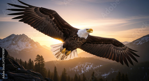 Wallpaper Mural Majestic bald eagle soaring powerfully over snow capped mountains at golden hour sunset, embodying freedom and strength. Torontodigital.ca
