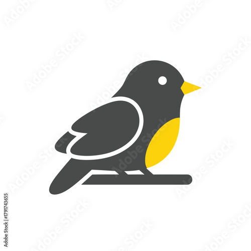 Yellow-Bellied Bird