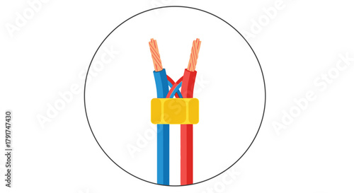 Electrical wiring connection with wire nut, showing red and blue wires joined.