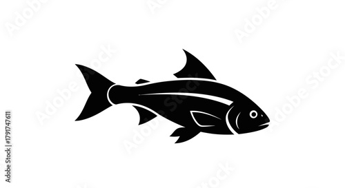 Black and white illustration of a fish, showcasing its fins, scales, and overall body shape.