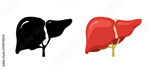 Liver anatomy. Human disease treatment. Medical illustration for cancer or cirrhosis. Vector design.