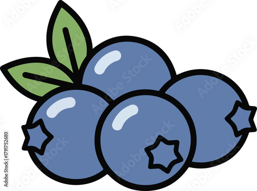 Flat design vector illustration of fresh blueberries with leaves for healthy food packaging.