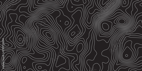 Abstract black background with elegant contour line patterns. Minimalist topographic map texture design, modern wavy lines creating fluid organic shapes, perfect for digital art and backgrounds.