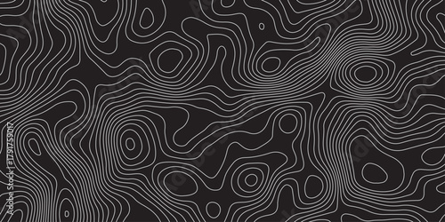 Abstract black background with elegant contour line patterns. Minimalist topographic map texture design, modern wavy lines creating fluid organic shapes, perfect for digital art and backgrounds.
