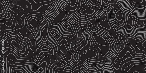 Abstract black background with elegant contour line patterns. Minimalist topographic map texture design, modern wavy lines creating fluid organic shapes, perfect for digital art and backgrounds.