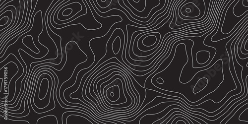 Abstract black background with elegant contour line patterns. Minimalist topographic map texture design, modern wavy lines creating fluid organic shapes, perfect for digital art and backgrounds.