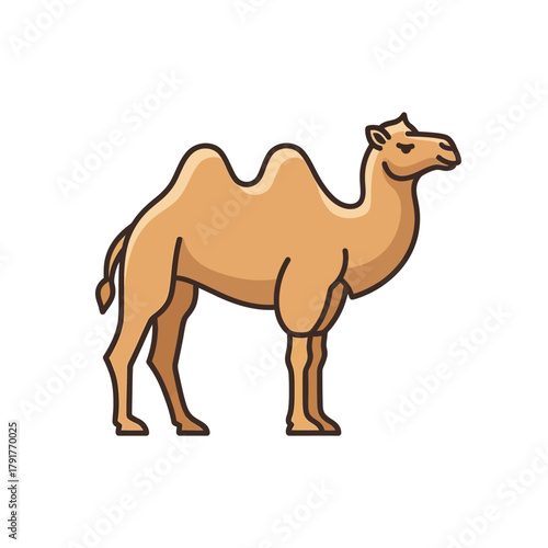 Camel Illustration