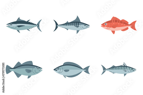 Flat vector icons for saltwater fish, featuring various species, representing seafood and marine biology elements,