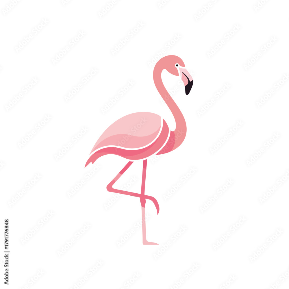 Fototapeta premium Pink Flamingo Standing