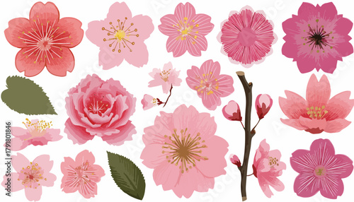 다양한 벚꽃과 잎사귀, 꽃봉오리를 담은 아름다운 핑크색 벡터 일러스트 컬렉션입니다.
