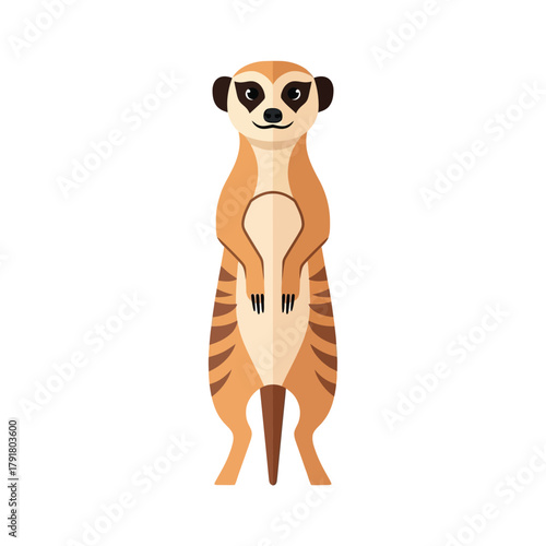 Second Meerkat Upright