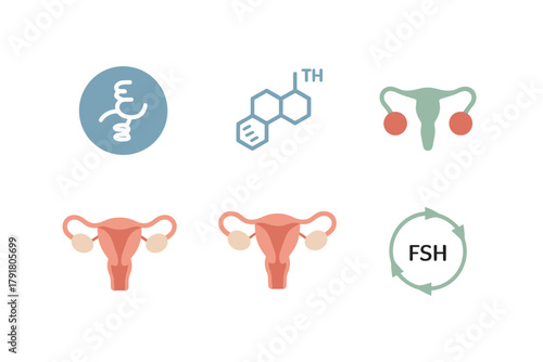 Flat vector icons for human anatomy, featuring uterus, hormones, embryo, representing gynecology, health, and fertility,
